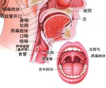 慢性咽炎怎么检查比较好