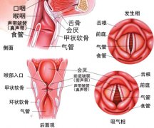 声带小结对人体有哪些严重的危害
