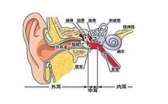 中耳炎应该怎么进行预防