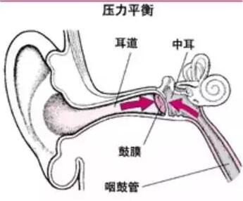 他为何故意刺破自己的耳膜