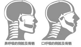 秋天到,南京的鼻炎患者们,你们还好吗