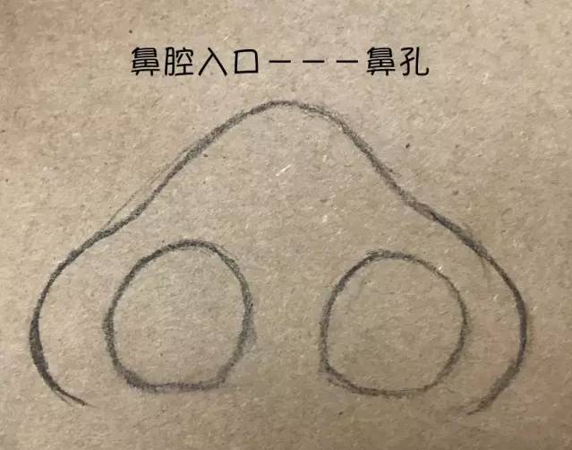 感冒花了那么多冤枉钱还不好,可能患上鼻炎