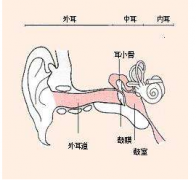 外耳道炎是怎么回事?
